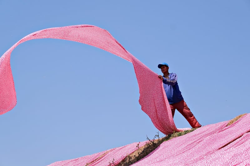 Sustainable Fabrics